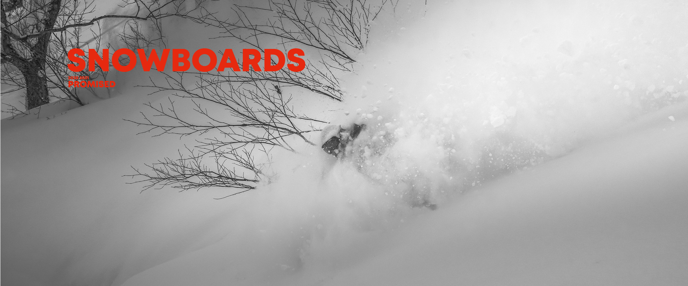 SNOWBOARDS